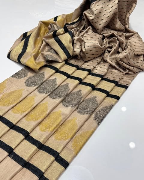 elegant banarasi pashmina shawl with velvet & sequin work – premium quality elegant banarasi pashmina shawl with velvet & sequin work – premium quality