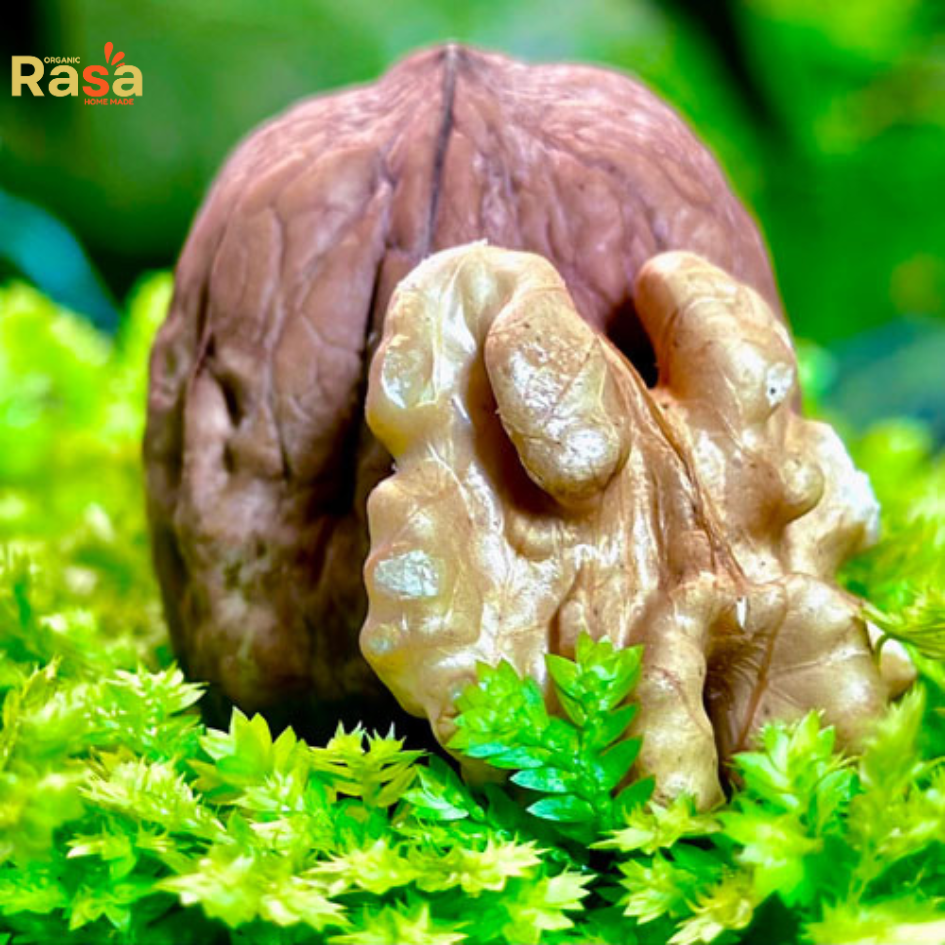 pure organic walnuts (akhrot) in shell – fresh, delicious & naturally delightful! pure organic walnuts (akhrot) in shell – fresh, delicious & naturally delightful!