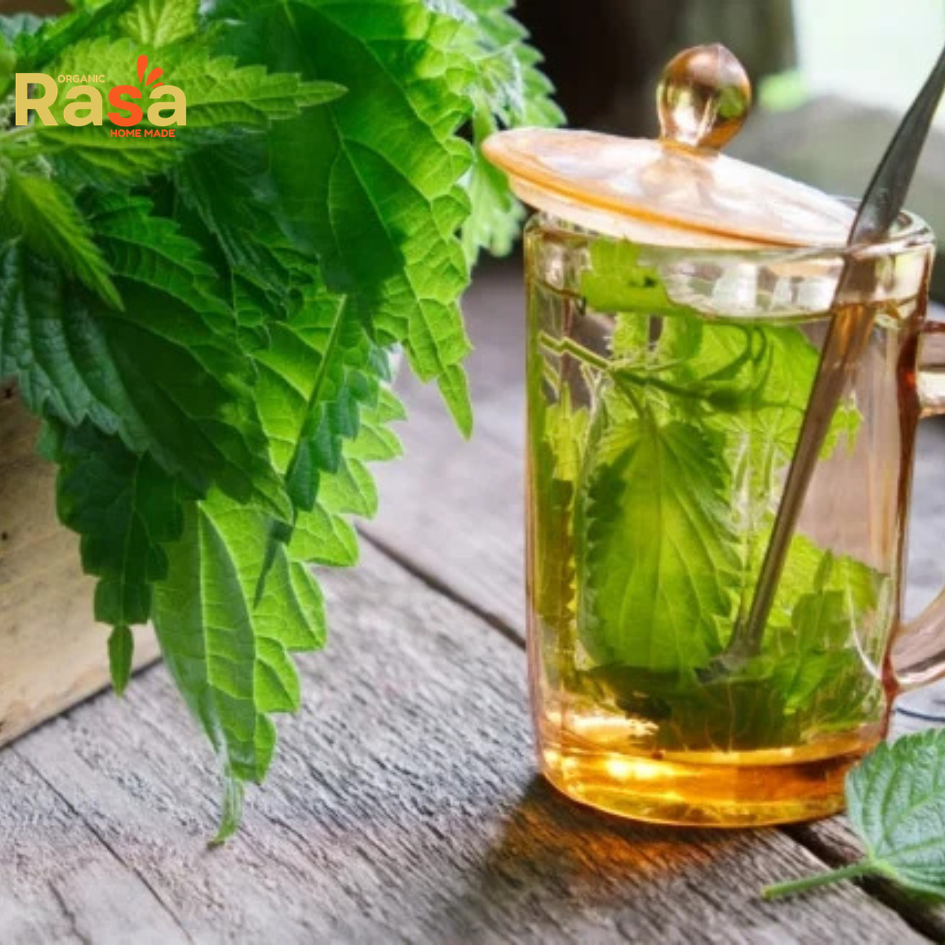 nettle leaves tea & drink (urtica dioica) β premium garden fresh herbal infusion | pure drink for natural lifestyle nettle leaves tea & drink (urtica dioica) β premium garden fresh herbal infusion | pure drink for natural lifestyle