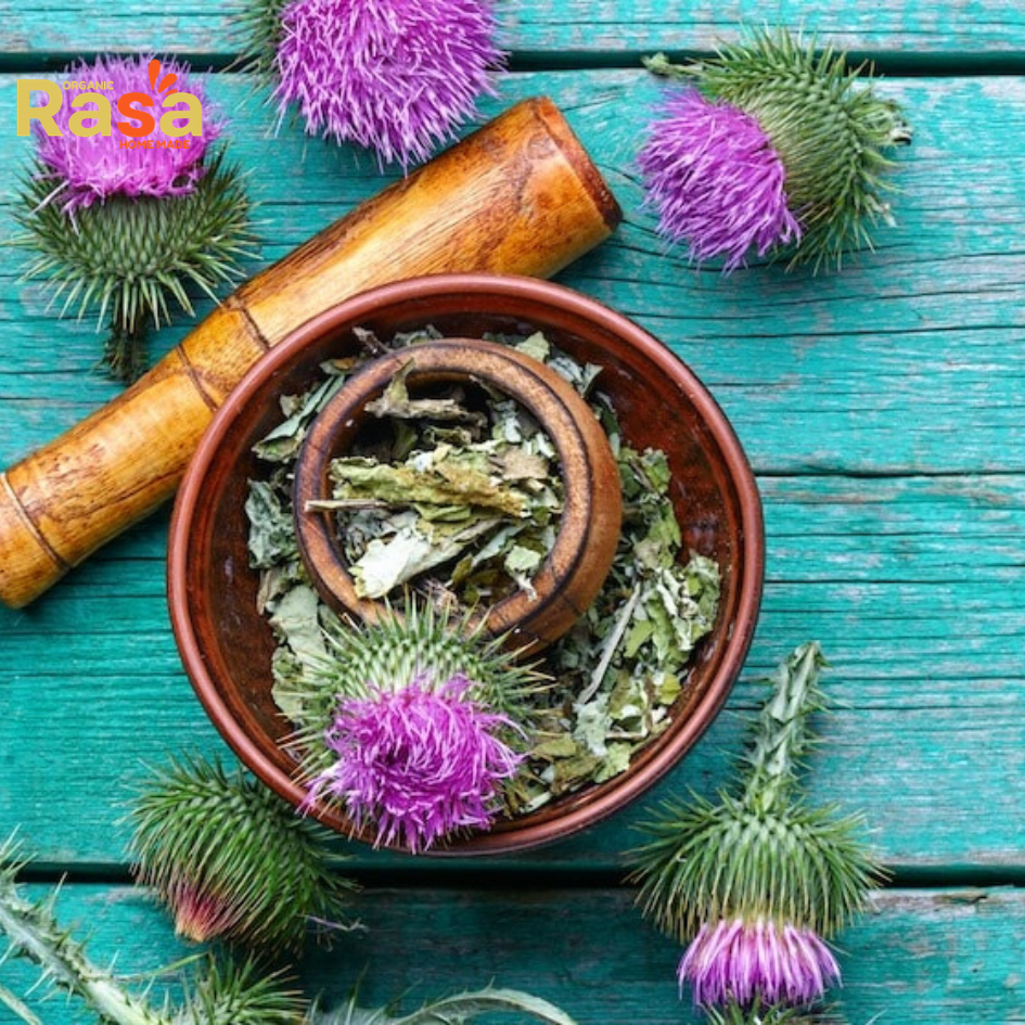 milk thistle tea & drink (silybum marianum) β premium garden fresh herbal infusion | pure beverage for natural lifestyle milk thistle tea & drink (silybum marianum) β premium garden fresh herbal infusion | pure beverage for natural lifestyle